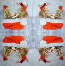 KAT-942 Katzen - 3-lagig - Paper Design